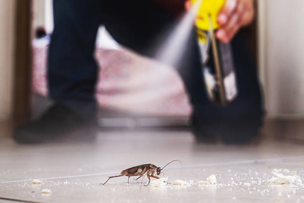 Childress, TX Pest Control Company